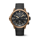 IWC Aquatimer Chronograph Charles Darwin IW379503 | BBA-WATCH.COM