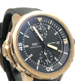 IWC Aquatimer Chronograph Charles Darwin IW379503