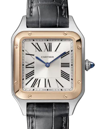 CARTIER Santos Dumont W2SA0012 | BBA-WATCH.COM