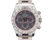 ROLEX Cosmograph Daytona 116509 | BBA-WATCH