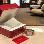 CARTIER Santos Diamonds wssa0010 Full-Set