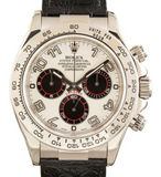 ROLEX Daytona 116509 White Gold Racing | BBA-WATCH.COM