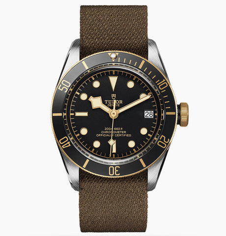 TUDOR Black Bay S&G 79733N 18K Or / Acier 41 mm