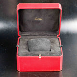 CARTIER Drive De Cartier WSNM0011
