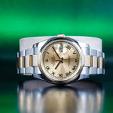 ROLEX Datejust 36 116203