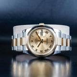 ROLEX Datejust 36 116203