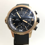 IWC Aquatimer Chronograph Charles Darwin IW379503