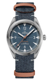 Omega Seamaster Railmaster 220.12.40.20.03.001 | BBA-WATCH.COM