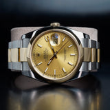 ROLEX Datejust 36 116203