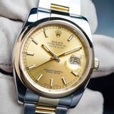 ROLEX Datejust 36 116203