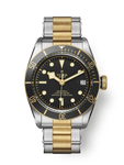 TUDOR Black Bay S&G 79733N 18K Or / Acier 41 mm