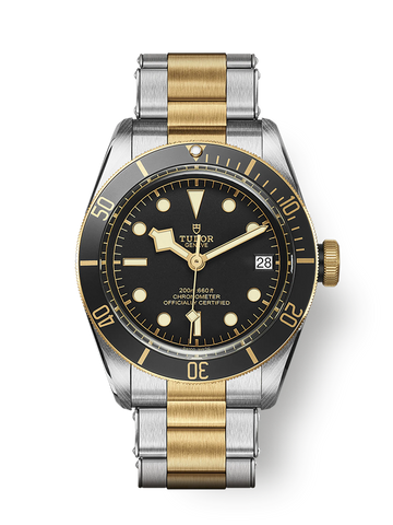 TUDOR Black Bay S&G 79733N 18K Or / Acier 41 mm